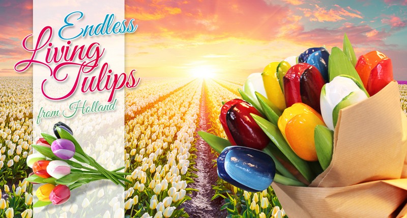 wooden-tulips-from-holland banner