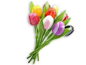 Dutch Clogs wooden tulips