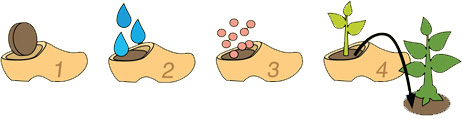 flower-clogs-instructions